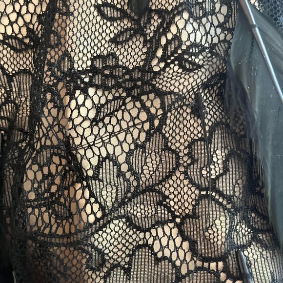 Jovani LAce feather Dress - Picture 6 of 6